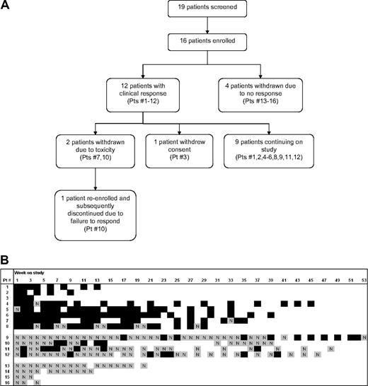 Figure 2. Study flowchart and patient response. (A) Study flowchart, with all patients enrolled in study as of January 31, 2008. Patient numbers correspond to panel B. (B) Graphical representation of response for each study patient at each study visit. At each visit every patient was classified as either responder (Y, black) or nonresponder (N, gray). Response was defined as platelet count increased by at least 20 × 109/L (20 000/mm3) to greater than 30 × 109/L (30 000/mm3) with no IVIg treatment in the preceding 2 weeks. Blank space indicates no study visit in a given week.