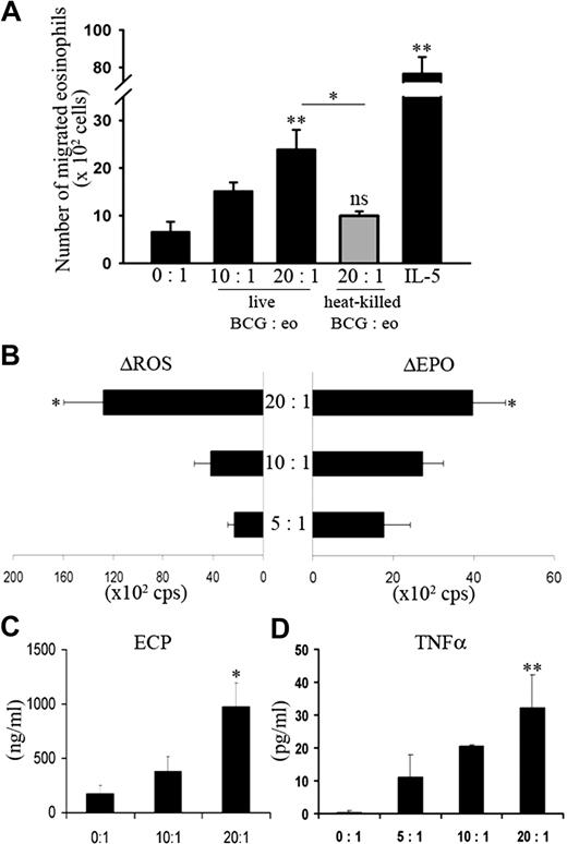 Figure 1. Eosinophil chemotaxis and activation mediated by M bovis BCG. (A) Eosinophil migration in response to different BCG/eosinophil ratios. Error bars represent plus or minus SEM from 5 independent experiments. (B) ROS generation and EPO release by eosinophils in cell supernatants. Results are expressed as ΔROS or ΔEPO cps (counts per second) values (values from medium stimulation are subtracted from values obtained with each ratio). (C) After 18 hours of incubation, ECP concentrations in the cell-free supernatants were measured. Data are expressed as means plus or minus SEM from the 3 independent experiments with different eosinophil donors. (D) Eosinophils were stimulated for 18 hours at different BCG/ eosinophil ratios. TNF-α levels were quantified in the culture supernatants by ELISA. Results are represented as the mean of 3 independent experiments plus or minus SEM. *P < .05; **P < .01.