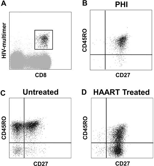 Figure 1. Phenotypic characterization of HIV-specific CD8+ T cells during primary HIV infection, in untreated and HAART-treated participants. (A) HIV-specific CD8+ T cells were gated based on HIV multimer and CD8 expression. (B-D) Representative phenotypes of HIV-specific CD8+ T cells are presented: most HIV-specific CD8+ T cells expressed CD27 and CD45RO at baseline during PHI (B); in untreated participants after PHI, HIV-specific CD8+ T cells were CD27+/− CD45RO+ (C); and HIV-specific CD8+ T cells in HAART-treated participants were CD27+ CD45RO+/− (D).