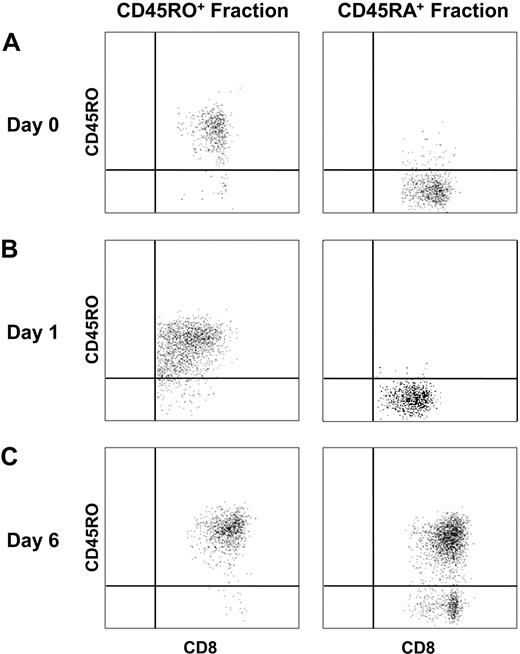 Figure 5. Phenotypic changes in the HIV-specific CD45RA+ CD8+ T-cell subset after activation. PBMCs were separated with CD45RA magnetic microbeads, and the isolated CD45RA+ and CD45RO+ fractions were cultured with anti-CD3 overnight or with a specific HIV peptide for 6 days. HIV-multimer and CD45RO staining were assessed on days 0, 1, and 6 by flow cytometry. (A-C) CD45RO expression on HIV-specific CD8+ T cells from negative fraction CD45RO+ and positive fraction CD45RA+ on days 0, 1, and 6, respectively.