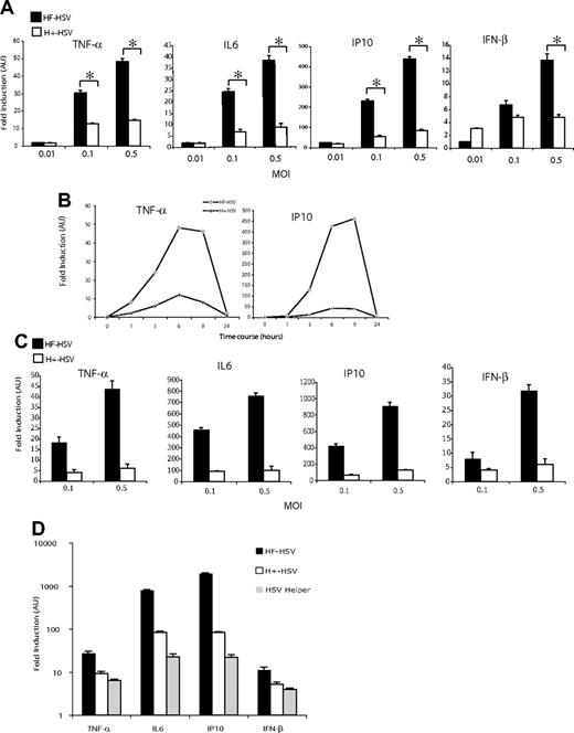 Figure 1. Comparison of innate immune response initiated by HF-HSV and H+-HSV in CLL B cells and THP1 cells. (A-C) CLL B cells (A,B) and THP1 cells (C) were transduced with HF-HSV or H+-HSV amplicons at the indicated MOI; 8 hours later (A,C) innate response was assayed by qRT-PCR for TNF-α, IL6, IP10, and IFN-β mRNA. AU indicates arbitrary units. Data are representative of 3 experiments. *P < .05. In panel B, CLL B cells were transduced with HF-HSV or H+-HSV amplicons at MOI of 0.5, and TNF-α and IP10 response were assayed by qRT-PCR at multiple time points as indicated on the x-axis. (D) Comparison of innate response to HF-HSV, H+-HSV, and the HSV helper virus component of H+-HSV in THP1 cells at MOI of 0.5, 8 hours after transduction, shows that HF-HSV generates more potent innate response than either H+-HSV or HSV helper virus alone. Data are representative of 2 experiments. Error bars represent SEM.