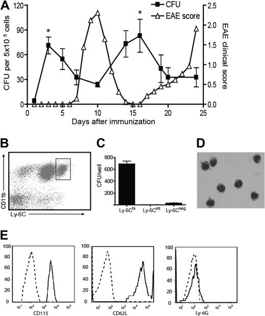 Figure 1. Myeloid precursor cells expand in the blood before clinical episodes of EAE and are contained within the CD11b+Ly-6Chi population. (A) SJL mice were immunized with PLP139-151 in CFA. Mice were bled at various time points during relapsing-remitting EAE, and peripheral blood leukocytes were plated in methylcellulose cultures supplemented with GM-CSF and stem cell factor. GM-CFUs were counted on day 7. The data shown represent the mean (± SD) of 3 similar experiments. The frequency of GM-CFU at each time point represents the mean of at least 3 mice/group (*P < .05 comparing the frequency of GM-CFU before onset of EAE with their frequency during disease). (B) C57/B6 mice were immunized with MOG/CFA. Six days later, peripheral blood cells were stained for CD11b and Ly-6C and sorted into Ly-6Chi, Ly-6Cint, and Ly-6− subsets. (C) Sorted cells were plated in methylcellulose cultures as described in panel A, and GM-CFUs were counted on day 7. The data represent mean (± SE) of five experiments. (D) Hematoxylin and eosin staining of sorted CD11b+Ly-6Chi cells. (E) CD115, CD62L, and Ly6G levels were measured on gated CD11b+Ly-6Chi cells by flow cytometric analysis. Broken lines represent isotype controls. (B-E) Data are representative of at least 2 experiments.