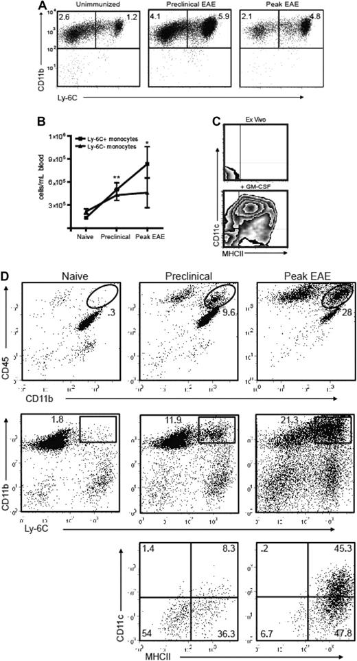 Figure 2. Ly-6C+ cells accumulate in the blood and CNS before the onset of EAE. (A) PBMCs from naive and PLP139-151-immunized SJL mice were analyzed by flow cytometry. Immunized mice were bled on the day before expected clinical onset and during peak EAE. Dot plots are gated on CD11b+CD115+ cells; percentages of each subset among total blood leukocytes are indicated. (B) Absolute numbers of circulating monocytes per milliliter of blood in naive and PLP139-151-immunized SJL mice (*P < .05, **P < .02 by comparison to naive). (C) Ly-6C+ monocytes were sorted from immunized SJL mice and analyzed for MHC class II and CD11c expression either immediately ex vivo or after a 48-hour culture with GM-CSF. Data shown are representative of 5 separate experiments. (D) Spinal cord mononuclear cells were harvested from naive and PLP139-151-immunized SJL mice and subjected to flow cytometric analysis. The lowest panels show CD11c and MHC class II staining of CD11b+LyChi-gated PBMCs from mice in the preclinical (left) or symptomatic (right) stages of EAE. The gates used are depicted in the middle panels. Data shown are representative of 4 separate experiments.