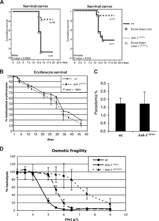 Figure 5. Ank-11674/+ mice exhibit profound malarial resistance. (A) Kaplan-Meier cumulative survival plots for male and female wt and Ank-11674/+ mice after infection with P chabaudi. P values were determined by log-rank (Mantle-Cox), and less than .05 was considered significant. (B) In vivo red cell survival study in wt and Ank-11674/+ mice. The P value was determined using ANOVA and greater than .05 was considered not significant. (C) In vitro invasion of RBCs from wt and Ank-11674/+ mice with malaria parasites. (D) OF of red cells from 6-week-old wt, Ank-11674/+, and Ank-11674/1674 mice. Error bars represent SD in all figures.