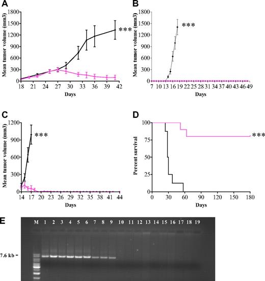 Figure 6. In vivo antitumor activity of APO866 in mouse xenograft models of human leukemia and lymphoma. (A) In vivo efficacy of APO866 on mice xenografted with ML-2 cells. Fifteen 6- to 8-week-old Balb/c nude mice received subcutaneous transplants of 2 × 107 ML-2 cells. Once tumors became palpable (approximately 150 mm3, at day 18), mice were randomized into a control group (n = 7, black line) and a treated group (n = 8, colored line). APO866 administration and tumor volume assessment were conducted as described in “Methods.” (B)Treatment with APO866 at early stage of disease prevents tumor growth and prolongs survival in a mouse model of human Burkitt lymphoma. Twenty 6- to 8-week-old C.B.-17 SCID mice were each injected subcutaneously with 107 Namalwa cells and mice were subdivided into 2 groups. APO866 administration was initiated as described in “Methods” starting 1 week after cell injection (n = 10), whereas mice in the control group (n = 10) received intraperitoneal injection with saline solution. (C) APO866 applied on established human Burkitt lymphoma tumors abrogates tumor growth. Mice underwent transplantation with Namalwa cells as described in panel B. When tumors reached a volume of 100 mm3 (at day 14), mice were divided in 2 groups. Mice from APO866 group were treated with APO866 as described above (n = 10) and control animals (n = 10) received vehicle only. (D) APO866 treatment eradicates tumor growth and prolongs the overall survival in a mouse model of human Burkitt leukemia. Raji-GFP cells (5 × 104) were injected into the tail vein of each SCID mouse (D0). Starting 1 week after cell injection, animals were treated with APO866 (n = 10, colored line) or received vehicle (n = 8, black line). All animals were monitored daily, and the end point of the study was survival defined as the time point where hind limb paresis was noted. Animals that reached end point or survived after 180 days of observation were killed. ***P < .001. (E) Detection of t(8;14)(q24;q32) DNA fragment specific of Raji cells (Burkitt lymphoma). DNA was extracted from 17 bone marrow cells from either vehicle-injected (lanes 2-9) or APO866-treated mice (lanes 10-18). Positive and negative controls for PCR included DNA from pure Raji cells (lane 1) and buffer (lane 19), respectively. M: DNA ladder mix marker (Fermentas Life Science, Madison, WI).