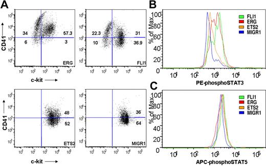 Figure 7. ETS-, ERG-, and FLI-1–immortalized cells express CD41 and c-kit and show enhanced STAT-3 phosphorylation. (A) Comparison of CD41 and c-kit expression in ETS2-, ERG-, and FLI-1–overexpressing Gata1-knockdown fetal liver hematopoietic cells isolated from methylcellulose after 4 weeks of culture. Plots are representative of 3 independent experiments. Significance levels for differences for ERG and FLI-1 in comparison with MIGR1 are for CD41 expression (singly positive) only: ERG (P < .01), FLI-1 (P < .04); for CD41/c-kit double-positive gate: ERG (P < .02); c-kit expression: ERG (P < .008), FLI-1 (P < .03). (B,C) Comparison of phospho-STAT3 and phospho-STAT5(a/b) staining of fourth-generation ETS2-, ERG-, and FLI-1-overexpressing Gata1-knockdown fetal liver hematopoietic cells. Significance levels for differences in phospho-STAT3 signaling in comparison with MIGR1: ERG (P < .01), FLI-1 (P < .009), and ETS2 (not significant). P values were calculated by comparing the percentage of cells stained for phospho-STAT3 in the different groups for 3 independent experiments.