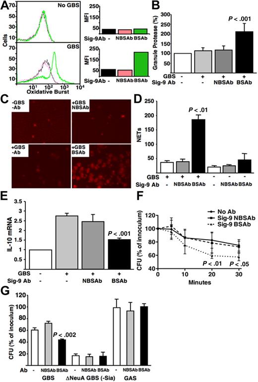 Figure 2. GBS engagement of Siglec-9 attenuates human neutrophil immune functions. (A) GBS attenuates neutrophil oxidative burst via engagement of Siglec-9. BSAb- or NBSAb-treated neutrophils were labeled with dichlorofluorescin-diacetate at a final concentration of 20 μM and incubated for 20 minutes at 37°C. GBS COH1 WT was added at a multiplicity of infection (MOI) of 10 and incubated for 30 minutes at 37°C. Oxidative burst was measured using FACS analysis. MFI indicates mean fluorescence intensity. (B) GBS reduces neutrophil release of granule proteases by engagement of Siglec-9. Neutrophils were pretreated with BSAb or NBSAb (106 cells in 50 μL mixed with GBS COH1 bacteria at an MOI of 10 in triplicates) and incubated at 37°C for 30 minutes. Tubes were centrifuged at 1000g for 5 minutes and the supernatant collected into wells of a 96-well plate; 0.5 μL of MeOSuc-Ala-Ala-Pro-ValNmec dissolved in dimethyl sulfoxide at 20 mM was added to each well. After incubating at room temperature for 20 minutes, hydrolysis of the substrate was monitored spectrofluorometrically by change in absorbance at 405 nm. Baseline release of elastase by unstimulated neutrophils is set to 100%, and the graph shows a relative percentage release. (C,D) Production of NETs is attenuated GBS CPS engagement of Siglec-9. Antibody-treated neutrophils were incubated with bacteria at MOI 100 for 30 minutes at 37°C. NETs were stained using Cytox Orange and counted across the central transect of each well under the fluorescent microscope. The y-axis shows the number of NETs counted per transect of the wells. (E) Siglec-9 engagement by GBS blunts the up-regulation of mRNA expression of the inhibitory cytokine IL-10. GBS COH1 WT was added to antibody-pretreated neutrophils at an MOI 10 in a 6-well plate for 30 minutes at 37°C, and expression of IL-10 mRNA quantified with reverse-transcribed polymerase chain reaction primers forward (AACCTCCTCTCTGCCATCAA) and reverse (GGAAGACCCCTCCCAGATAG). (F) GBS engagement of Siglec-9 via its capsular Sia promotes resistance to neutrophil total killing. The y-axis shows percentage survival, ie, recovered colony-forming units (cfu) divided by inoculum cfu multiplied by 100. (G) GBS engagement of Siglec-9 via CPS Sia promotes resistance to neutrophil extracellular killing. Total and extracellular neutrophil killing assays were as described.24 Cytochalasin D was added to antibody-treated neutrophils and mixed with GBS COH1 WT, GBS COH1 deltaNeuA (Sia minus),25 or group A Streptococcus M1 strain at MOI 10, and incubated at 37°C. Part of each sample was plated at 5, 10, 20, and 30 minutes, and the surviving bacteria cfu counted the next day. The graph shows surviving cfu percentage at 30 minutes. Similar differences were seen at other time points.