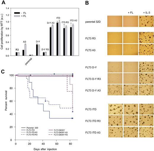 Figure 4. Growth and transforming capacity of 32D cell lines expressing ER-targeted FLT3. (A) 32D cell lines expressing the indicated FLT3 variants or parental 32D cells were seeded in 96-well plates (2.5 × 104 cells/well), and cell growth in the absence or presence of FL (10 ng/mL) or IL-3 (2.5 ng/mL) was measured after 2 days using the MTT method. Values were normalized to growth in the presence of IL-3, which was set to 1.0 (means ± SD, n = 8). (B) The indicated versions of 32D cell pools were subjected to colony formation assays in methylcellulose in the absence or presence of FL or IL-3. Representative sections were photographed after 5 to 6 days of culture using equipment described in “Proliferation and colony-forming assays.” (C) Kaplan-Meier plot of survival of C3H/HeJ mice receiving parental 32D cells or 32D cells expressing the different FLT3 versions as indicated. Each group contained 8 to 10 mice. The percentage of surviving mice (y-axis) is plotted with respect to time in days (x-axis). Circles represent mice killed without a myeloproliferative disease or which served as controls at various time points, respectively. Statistical significance was tested using Gehan-Breslow statistics for the survival curves; post hoc comparisons were made with the Holm-Sidak method for all pairwise multiple comparisons. The reduction of survival in case of application of FLT3 ITD or FLT3 ITD R3–expressing cells was significant (P < .05) compared with all other groups. There was no statistical difference in survival between parental cells and any of the FLT3 D835Y–harboring cells, nor among the latter.