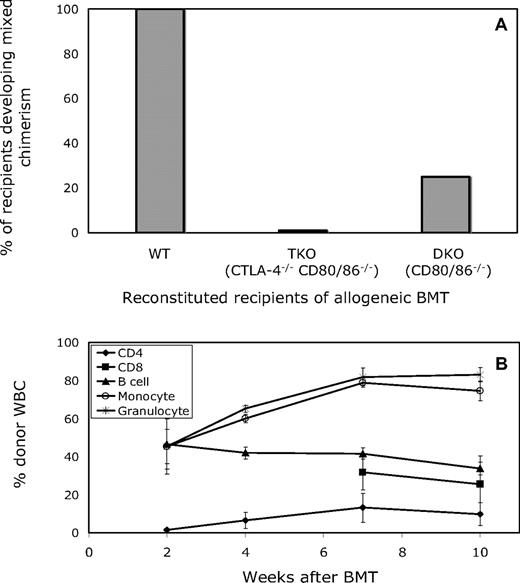 Figure 1. Both CTLA-4−/− CD80/86−/− and CD80/86−/− reconstituted recipients are resistant to the induction of mixed chimerism in mice treated with anti-CD154. (A) Lethally irradiated B6 (CD45.2, Ly9.2) mice reconstituted with BM from B6-wild type (CD45.1, Ly9.2), 129-TKO (CTLA-4−/− CD80/86−/−; CD45.2, Ly9.1), or 129-DKO (CD80/86−/−; CD45.2, Ly9.1) mice were treated with anti-CD8, 3 Gy TBI, anti-CD154, and allogeneic BMT 6 weeks after reconstitution. Among recipients reconstituted with WT BMCs, 100% (5 of 5) developed and maintained long-term mixed chimerism. In contrast, all recipients of TKO-derived BMCs (5 of 5) and most recipients of DKO-derived BMCs (3 of 4) failed to establish mixed chimerism at 4 weeks after allogeneic BMT. (B) The mean percentage of donor WBCs in WT recipients of BM transplant with anti-CD154 among CD4, CD8, B-cell, monocyte, and granulocyte lineages was determined by FCM at various time points after BMT. Results are shown as mean plus or minus SEM for each lineage. Similar results were obtained in the single chimeric DKO recipient (data not shown).