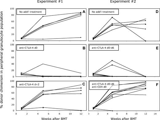 Figure 3. Administration of anti–CTLA-4 on day 0 impairs the establishment of mixed chimerism in mice receiving CD8 depletion, 3 Gy TBI, anti-CD154 mAb, and BM transplant. The mean percentage of donor cells among CD4, CD8, B-cell, monocyte, and granulocyte lineages in WBCs was determined by FCM at various time points after BMT. The percentage of donor-derived cells within the granulocyte population is illustrated as a representative lineage, and results for individual mice within each group are shown (A-C). Five of 5 control mice achieved and maintained multilineage chimerism more than 26 weeks after BMT (A), in contrast to only 1 of 5 recipients that received anti–CTLA-4 on day 0 (B). Four of 5 mice that received anti–CTLA-4 on day +2 established long-term mixed chimerism (C). (D-F) In mice that received BM transplant with anti-CD154 on day 0 and anti–CTLA-4 on days 0, +2, +4, and +6, long-term mixed chimerism was not achieved (E; 0 of 10 mice). Depletion of peripheral CD4+ cells (9 of 10) reversed the effect of the anti–CTLA-4 (F), and permitted levels of chimerism similar to those in mice that received only anti-CD154 with alloBMT (D; 4 of 5).