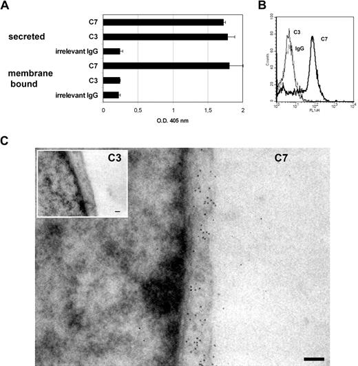 Figure 1. Presence of C7 on the endothelial cells surface. (A) The amount of C7 and C3 secreted by HUVECs grown to confluence was measured by ELISA in the culture supernatant. The presence of C7 and C3 on the cell membrane was evaluated by ELISA on whole cells using biotin-labeled goat antibodies to C7 or C3 (5 μg/mL), followed by AP-labeled streptavidin. (B) FACS analysis of nonpermeabilized HUVECs for surface expression of mC7 using mAbs anti-C7 (black line), anti-C3 (gray line; 10 μg/mL), and irrelevant IgG (dotted line) followed by FITC-labeled goat anti–mouse IgG. (C) TEM analysis of HUVECs incubated with mAb anti-C3 or anti-C7 (both used at 1:50) followed by biotinylated secondary antibodies and gold-labeled streptavidin. Magnification bar represents 200 nm. One of 3 experiments with similar results is shown.