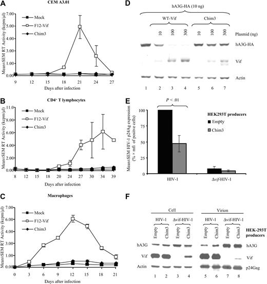 Figure 4. Chim3 does not counteract the antiviral action of hA3G, by acting as a true dominant-negative factor. Kinetic of infections of CEM A3.01 cells (A), CD4+ T lymphocytes (B), and CD34+-derived macrophages (C) infected with either X4 Δvif-HIV-1 (A,B) or R5 Δvif-HIV-1 (C) at an MOI of 0.1. Values represent mean plus or minus SEM of triplicate (A,B) and quintuplicate (C) cultures. (D) Western blot analysis of cell extracts derived from HEK-293T cells transfected with a fixed amount of hA3G-HA and either WT-Vif– or Chim3-expressing plasmids at the indicated amounts of plasmid DNA. Cell extracts were prepared 48 hours after transfection. Membranes were sequentially probed with anti-HA Abs (top panel), anti-Vif (middle panel), and antiactin (bottom panel) Abs. (E) VSV-G pseudotyped R9Δenv-HIV-1 and R9Δenv-Δvif-HIV-1 were produced by transient transfection of the corresponding plasmids in either empty or Chim3-transduced HEK-293T cells, in the presence of hA3G expression plasmid. SupT1 cells were infected at an MOI of 4. Seventy-two hours after viral challenge, intracellular p24Gag expression was evaluated by FACS analysis (FACSCalibur, BD Biosciences; and FlowJo software, TreeStar) using an anti-p24Gag Ab on fixed and then permeabilized cells. Values represent the mean plus or minus SEM percentage of the p24Gag content of each condition relative to that of wild-type HIV-1 (HIV-1 ■) (n = 6). (F) Western blot analysis of the level of the intracellular (left panel) and intravirion (right panel) hA3G and Vif proteins; 40 μg WCE and 1 μg p24Gag HIV-1 virion equivalent, respectively, were loaded in each conditions. The filter was sequentially probed with the different Abs as indicated.