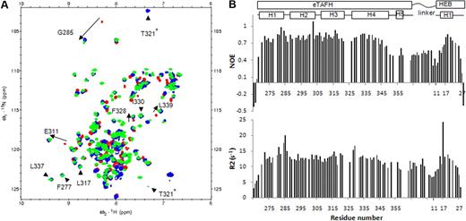 Figure 1. Binding mode is retained in the covalent eTAFH-HEB fusion protein. (A) Overlay of 15N-1H HSQC spectra of apo-eTAFH (red), eTAFH/HEB peptide complex (blue), and eTAFH-HEB fusion protein (green). The amides observed only when eTAFH is bound to HEB (), and the amides undergoing large chemical shift changes on HEB binding (→) are labeled with the residue number. *The peak for T321 is folded in the spectrum of eTAFH-HEB (green). (B) Backbone dynamics of eTAFH-HEB represented by plots of {1H}15N heteronuclear NOE and R2 relaxation rate versus residue number.