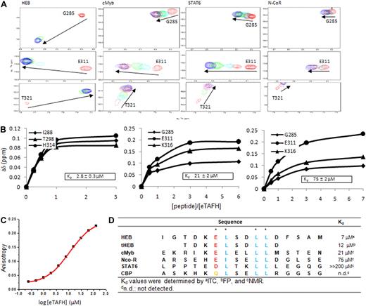 Figure 4. eTAFH domain binds peptides with a conserved (D/E)LXXLL motif from HEB, cMyb, N-CoR, and STAT6. (A) Overlays of selected amides in the 15N-1H HSQC spectra of the eTAFH domain recorded as a function of the concentration of each peptide. Each column represents titration data for 3 separate amides with one particular peptide. (B) Kd determination using chemical shift changes resulting from titrations of each peptide. The 3 best fits from changes in 1HN shifts for each peptide are displayed. (C) Results of a Kd determination using fluorescence polarization with 0.2 μM fluorescein-labeled HEB peptide (FLSN-TDKELSDLLD) and increasing concentrations of eTAFH. Results of one titration are shown. Two independent experiments were carried out resulting in Kd = 12.5 ± 2.1 μM. (D) Sequence alignment of peptides examined for eTAFH binding. Consensus amino acids are colored in blue. Asterisks indicate residues in HEB whose side chains contact the eTAFH domain.
