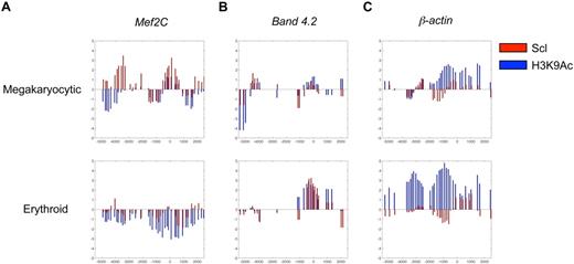 Figure 2. ChIP-chip analysis defines direct binding of Scl to Mef2C gene in megakaryocytic cells. ChIP-chip analysis was performed to determine direct target genes for Scl in megakaryocytic and erythroid cell lines. (A) Mef2C promoter is bound by Scl (red bars) at the transcriptional start site (0) in the L8057 megakaryoblast cell line, but not in the erythroblast cell line (Hox11 immortalized cell line). Scl binding is accompanied by acetylation on histone 3 lysine 9 (H3K9Ac; blue bars) at the transcriptional start site. (B) Band 4.2, a known Scl target gene in erythroid cells, is bound by Scl in the erythroid cell line, whereas no significant signal was observed in the megakaryocytic cell line. (C) The housekeeping gene β-actin is acetylated in both megakaryocytic and erythroid cells, whereas no significant binding of Scl is observed in either of the cell lines.