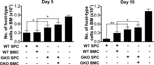 Figure 2. Reduced destruction of recipient bone marrow cells in B6D2F1 mice receiving GKO allo-HCT. B6D2F1 mice received 6 Gy TBI one day before administration of 2 × 107 allogeneic splenocytes alone or along with 107 BMCs from WT or GKO B6 donors (n = 6 per group). Non-HCT controls were sublethally irradiated B6D2F1 mice receiving no transplantation (n = 3). BMCs were prepared at days 5 and 10, and percentages of recipient-type (H-2d+) cells were determined by flow cytometry. The total number of recipient-type BMCs was calculated as the product of the percentage of host-type cells and the total bone marrow cellularity. Shown are numbers (mean ± SD) of host-type nucleated cells in bone marrow. *P < .05; **P < .01.