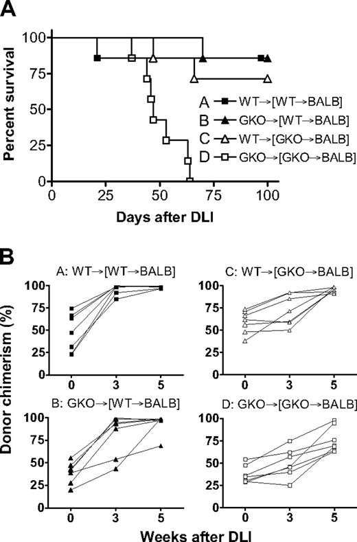 Figure 6. Donor-derived IFN-γ facilitates GVL effects and promotes conversion to full donor chimerism in mixed chimeras after delayed DLI. Lethally (8 Gy) irradiated BALB/c mice were reconstituted with a mixture of TCD BALB/c plus WT (■ and ▲, n = 7 per group) or GKO (△ and □, n = 7 per group) B6 BMCs 8 weeks before DLI (ie, injection of 1.5 × 107 splenocytes) from WT (■ and △) or GKO (▲ and □) B6 mice. All mice received 3 × 105 A20 leukemia cells one week after DLI. Survival (A) and kinetics of donor chimerism in peripheral blood (B) from a representative experiment are shown.