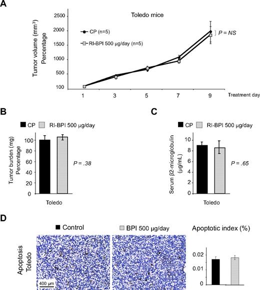 Figure 6. RI-BPI has no antilymphoma activity in the Toledo xenograft. (A) Tumor growth plot in Toledo (an OxPhos-type cell line) xenografted mice treated with control peptide (●) or RI-BPI 500 μg/day () for 10 consecutive days. The y-axis represents the percentage of tumor volume (in mm3) compared with day 1 of treatment, and the x-axis represents treatment day. (B) Tumor burden (in milligrams) at day 10 in control peptide (■) and RI-BPI 500 μg/day () treated Toledo mice. (C) Serum levels of human β2-microglobulin (in micrograms per milliliter) at day 10 in control peptide (■) and RI-BPI 500 μg/day () treated Toledo mice. (D) Representative images from Toledo mice tumors after being treated with control peptide (first column) or RI-BPI 500 μg/day (second column), and assayed for apoptosis by TUNEL. The plot on the far right represents the apoptotic index (apoptotic cells over total cells) with the percentage of apoptotic cells in the y-axis for control peptide (■) and RI-BPI 500 μg/day (). Slides were mounted with permanent mounting medium (Vectamount; Vector Laboratories). Slides were viewed with a light microscope (AxioSkop 2; Carl Zeiss) using a Plan-neofluar lens at a 10×/0.50 air objective, a 25×/0.80 oil objective, a 40×/0.90 oil objective, and a 100×/1.30 oil objective. Images were acquired using a color camera (AxioCam; Carl Zeiss), processed using Axiovision software (Carl Zeiss), and scored using ImageJ software (National Institutes of Health, Bethesda, MD).