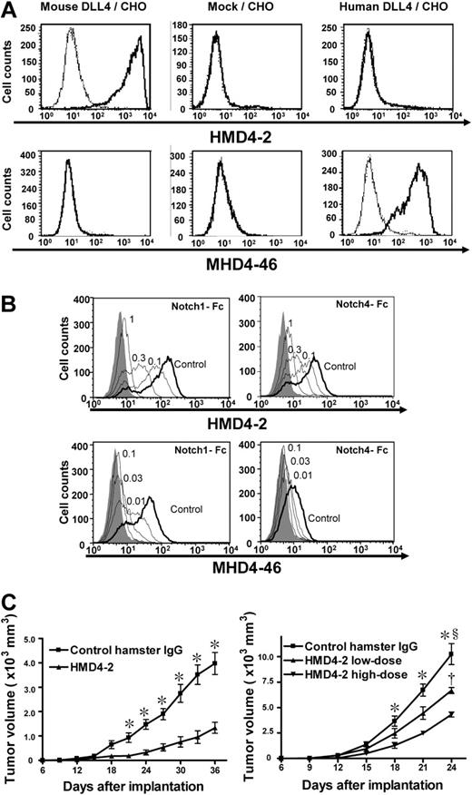 Figure 1. Characterization of HMD4-2 and MHD4-46 and effect of HMD4-2 on tumor growth. (A) Flow cytometric analysis showed the specific bindings of HMD4-2 to mouse DLL4 and MHD4-46 to human DLL4. Bold histogram shows the staining with biotinylated HMD4-2 or MHD4-46 followed by PE-labeled streptavidin. Thin histogram shows the staining with biotinylated control hamster IgG or control mouse IgG1 followed by PE-labeled streptavidin. (B) The antibodies blocked Notch1-Fc and Notch4-Fc binding to DLL4. Binding of mouse Notch1-Fc (top left) and mouse Notch4-Fc (top right) to mouse Dll4/CHO cells was blocked by the indicated doses (μg) of HMD4-2. Binding of human Notch1-Fc (bottom left) and mouse Notch4-Fc (bottom right) to human Dll4/CHO cells was blocked by the indicated doses (μg) of MHD4-46. The shaded histograms indicate the background staining without Notch-Fc. (C) HMD4-2 inhibited subcutaneous tumor growth in mouse tumor models with KLN205 (left) and LLC (right). The vertical axis showed the tumor volume and horizontal axis showed the time after implantation. The values represent the mean plus or minus SE (n = 7-10 per group). *P < .05 versus control, §P < .05 versus HMD4-2 low dose, †P < .05 versus HMD4-2 high dose, by Student unpaired t test or 1-way ANOVA with Fisher least-significant-difference test at each time point.