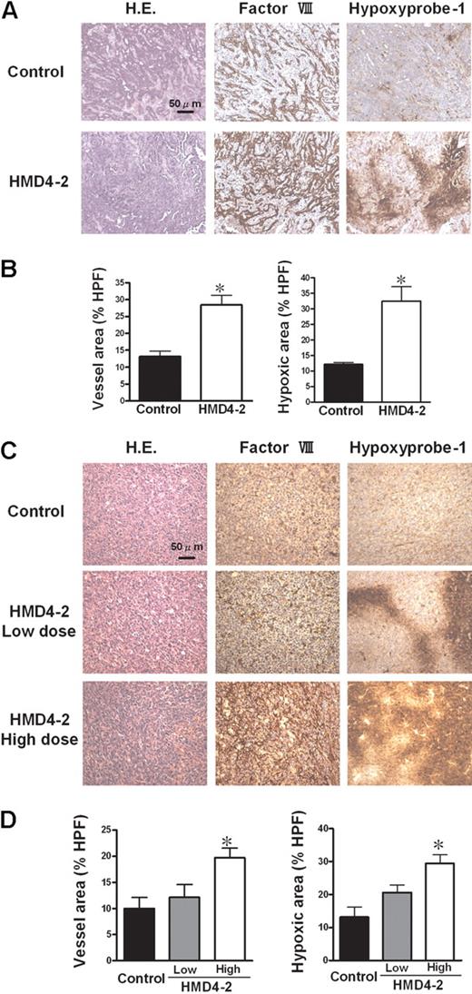 Figure 2. Effect of HMD4-2 on tumor angiogenesis and hypoxia. (A,C) Hematoxylin and eosin (H.E.) staining and immunohistologic staining for factor VIII–related antigen and for hypoxia (hypoxyprobe-1 kit) of KLN205 tumors (A) and LLC tumors (C). The hypoxic area was stained brown. (B,D) The quantitative analyses of histologic data of KLN205 tumors (B) and LLC tumors (D). The factor VIII–positive vessel area and hypoxic area were measured, and the percentages of the area in HPF (×100) were compared in each mouse tumor model. Data are mean plus or minus SE (n = 7 per group). *P < .05 versus control by Student unpaired t test or 1-way ANOVA with Fisher least-significant-difference test.