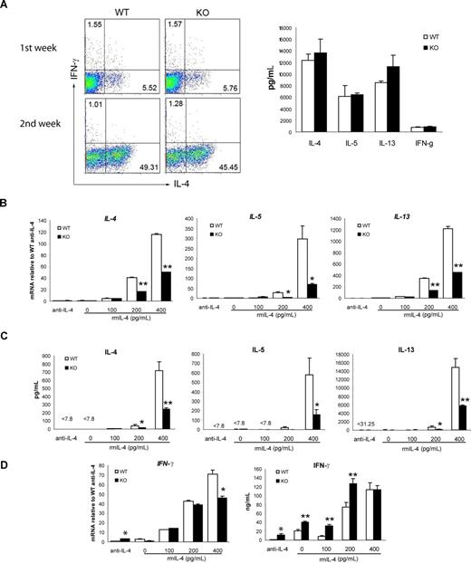 Figure 4. Impaired Th2 response in viperin−/− naive CD4+ T cells cultured under suboptimal Th2 conditions. (A) Naive CD4+ T cells were stimulated under optimal Th2-skewed conditions for 2 weeks. Differentiated cells were restimulated with 5 μg/mL plate-bound CD3/CD28 for 6 hours for intracellular production of IL-4 and IFN-γ (left panel), or for 24 hours for the amount of cytokines secreted into the supernatants (right panel; data shown is a restimulated culture after 1 week of differentiation). Data are representative of 2 independent experiments. The numbers in quadrants indicate the percentage of each quadrant. (B) Naive T cells were cultured with 5 μg/mL anti-CD3 and 1 μg/mL anti-CD28 in the presence of 30 U/mL IL-2 and a graded dose of IL-4 for 5 days. RNA expression of Th2 cytokines was measured with real-time RT-PCR. (C) Naive T cells were stimulated as in panel B for 5 days, washed, counted, and then restimulated with 10 μg/mL anti-CD3 for 48 hours. The culture supernatants were then assayed for cytokine production measurement. (D) IFN-γ production cultured as in panels B and C was analyzed. Data shown in panels B-D are representative of 3 independent experiments. Results are expressed as the mean value of triplicate determinations plus or minus SD. *P < .05; **P < .01, WT versus KO.