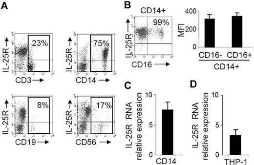 Figure 1. IL-25R is expressed by human blood CD14+ cells. (A) Representative dot-plots showing IL-25R in human PBMCs isolated from healthy volunteers and simultaneously analyzed for the expression of IL-25R, CD3, CD14, CD19, and CD56. Numbers in the selected areas indicate the percentages of CD3, CD14, CD19, and CD56 cells positive for IL-25R. One of 6 representative experiments in which similar results were obtained is shown. (B) CD16+ cells express IL-25R. CD14+ cells were purified from PBMCs and stained for IL-25R and CD16. One of 3 representative experiments is shown. Right inset shows the mean fluorescence intensity (MFI) of IL-25R expression in CD14+ cells either positive or negative for CD16. Data indicate mean (± SD) of 3 separate experiments. (C,D) Real-time PCR data for the membrane-bound IL-25R isoform RNA transcripts in blood CD14+ (CD14) cells (C) and THP-1 (D). Levels are normalized to β-actin and indicate the mean (± SD) of all experiments. CD14+ and THP-1 experiments were performed 6 and 3 times, respectively.