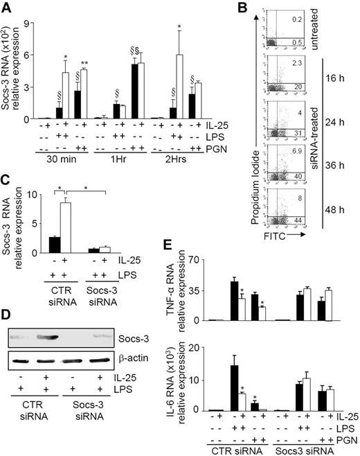 Figure 4. The inhibitory effect of IL-25 on CD14+ cell cytokine response requires Socs-3. (A) Socs-3 RNA levels in response to IL-25 stimulation in blood CD14+ cells induced by LPS and PGN. CD14+ cells were preincubated with or without IL-25 (50 ng/mL) for 30 minutes then stimulated with LPS or PGN for the indicated time points. Data indicate the mean ± SD of 4 separate experiments. Untreated versus LPS-treated cells, §P = .04; untreated versus PGN-treated cells, §P = .03, §§P = .02; LPS-treated versus LPS + IL-25–treated cells, *P = .001; PGN-treated versus PGN + IL-25–treated cells, **P = .03. (B) Representative dot plots showing the percentages of PI-positive and fluorescent (FITC)–labeled siRNA-transfected CD14+ cells. Blood CD14+ cells were transfected with a fluorescent siRNA as indicated in “Methods,” and the percentages of PI-positive and FITC-labeled cells were then evaluated at the indicated time points by flow cytometry. One of 3 representative experiments is shown. (C,D) Silencing of Socs-3 expression in human blood CD14+ cells. Cells were cultured with control or Socs-3 siRNA. After 2 days, cells were washed and cultured with IL-25 for 30 minutes followed by stimulation with LPS for 2 hours. Socs-3 RNA expression was evaluated by real-time PCR (C). Levels are normalized to β-actin and indicate the mean (± SD) of all experiments. *P = .001. (D) Representative Western blots showing Socs-3 and β-actin protein in extracts of cells cultured as indicated in panel C. One of 3 experiments in which similar results were obtained is shown. (E) IL-25 fails to inhibit the cytokine expression induced by LPS and PGN in Socs-3–deficient cells. Cells were transfected with control or Socs-3 siRNA. After 2 days, cells were washed and then stimulated with IL-25 for 30 minutes followed by LPS/PGN for a further 6 hours. Data indicate mean (± SD) of 5 separate experiments in which cells purified from 5 healthy donors were used. LPS/PGN-treated versus LPS/PGN + IL-25–treated cells, *P < .04.