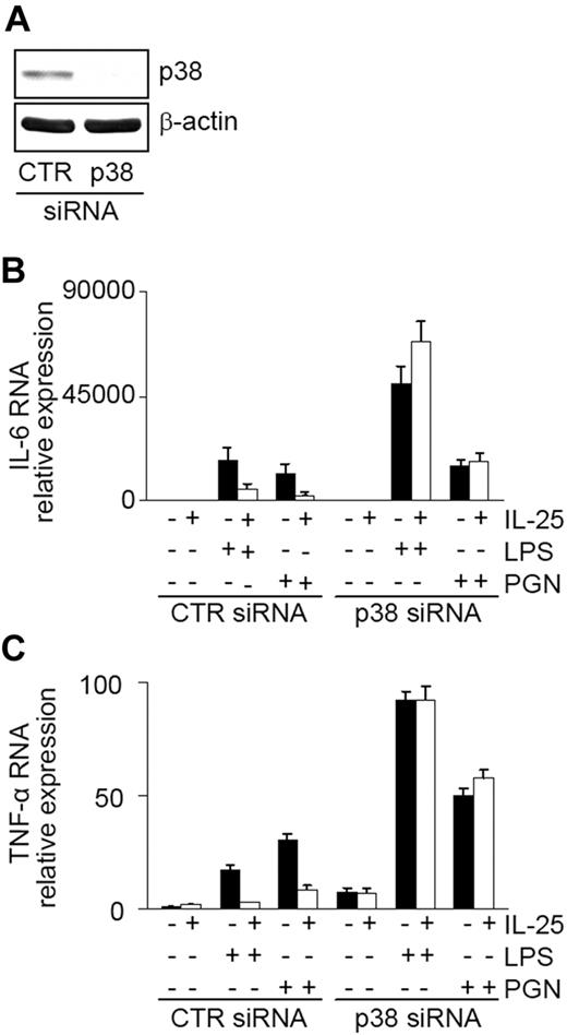 Figure 6. Silencing of p38 expression in human blood CD14+ cells. (A) Cells were cultured with control or p38 siRNA. After 2 days, total extracts were prepared and analyzed for p38 and β-actin by Western blotting. One of 3 separate experiments is shown. (B,C) IL-25 fails to inhibit the cytokine expression induced by LPS and PGN in p38-deficient cells. Cells were treated with control or p38 siRNA, then stimulated with IL-25 for 30 minutes followed by LPS/PGN for 6 hours. Data indicate mean (± SD) of 5 separate experiments in which cells purified from 5 healthy donors were used.