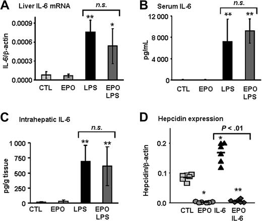 Figure 3. EPO inhibits LPS-mediated hepcidin induction independently of IL-6 production. (A) IL-6 mRNA levels in liver, (B) IL-6 levels in serum, and (C) intrahepatic IL-6 protein levels in mice treated with saline (CTL), EPO, LPS, and mice with combined treatments (EPO + LPS). (D) Hepcidin mRNA levels in the liver of mice treated with saline (CTL), EPO, mouse recombinant IL-6 (IL-6), and mice with combined treatments (EPO + IL-6). IL-6 and hepcidin mRNA levels were quantified by real-time RT-PCR and normalized to β-actin. The IL-6/β-actin and hepcidin/β-actin ratios are shown. IL-6 protein levels were measured by ELISA. Statistical analysis was performed by 1-way ANOVA; *P < .01 and **P < .001 for comparison with control mice. Data are presented as means plus or minus SD with n = 6 mice per group in panels A through C and as individual mice in panel D. n.s. indicates not significant.
