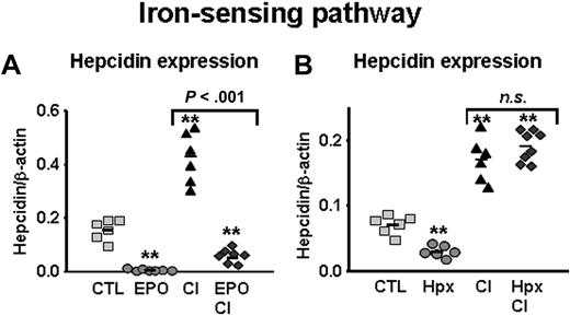 Figure 5. EPO but not hypoxia inhibits hepcidin induction through the iron-sensing pathway. (A) Hepcidin mRNA levels in the liver of mice treated with saline (CTL), EPO, LPS, carbonyl iron–supplemented diet (2.5% CI), and mice with combined treatments (EPO + CI). (B) Hepcidin mRNA levels in the liver of mice treated with saline (CTL), mice subjected to 10% oxygen (Hpx), 2.5% CI, and mice with combined treatments (Hpx + CI). Hepatic hepcidin expression was quantified by real-time RT-PCR and normalized to β-actin. The hepcidin/β-actin ratios are shown, each symbol representing one mouse. Statistical analysis was performed by 1-way ANOVA; **P < .001 for comparison with control mice. n.s. indicates not significant.