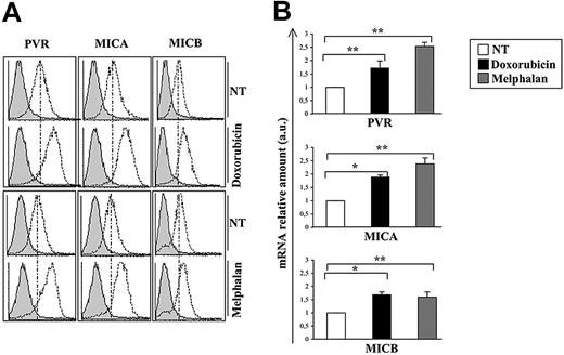Figure 1. Modulation of PVR, MICA, and MICB expression on the SKO-007(J3) cell line after doxorubicin or melphalan treatment. (A) PVR, MICA, and MICB surface expression was analyzed by flow cytometry on SKO-007(J3) cells treated with doxorubicin (0.05 μM) or melphalan (22 μM) for 48 hours. The gray histogram represents the isotype control antibody, whereas dashed lines represent the specific ligand. Data are representative of 1 of 4 independent experiments. (B) The corresponding increase in mRNA levels has been tested after 24 hours by real-time PCR performed as described in “Real-time PCR.” Data, expressed as arbitrary units, were normalized with β-actin, and referred to untreated cells considered as calibrator. Data are from the same experiment shown in panel A and are presented as the means plus or minus SD of triplicates. Significant differences as calculated by paired Student t test are indicated: *P < .01; **P < .05.