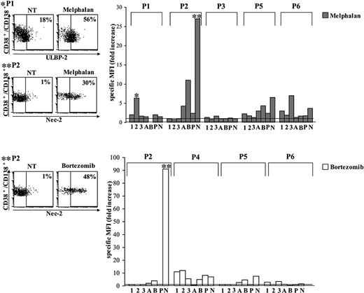 Figure 4. DNAM-1 and NKG2D ligands are up-regulated on patient-derived PCs after therapeutic treatment. Mononuclear cells were cultured with melphalan (20 μM) or bortezomib (5 nM) in complete medium supplemented with 20 ng/mL IL-3 and 2 ng/mL IL-6. Upon 48-hour treatment, the expression of ULBP1 (1), ULBP2 (2), ULBP3 (3), MICA (A), MICB (B), PVR (P), and Nec-2 (N) was analyzed by flow cytometry gating on CD38+CD138+ PCs. Three examples of the typical FACS analysis performed are represented in the squares. * = P1; ** = P2. Data are expressed as fold increase between the MFI of specific ligand subtracted for MFI of isotype control of treated cells divided by MFI of specific ligand subtracted for MFI of isotype control of untreated cells.