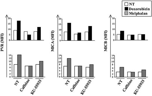 Figure 6. Up-regulation of DNAM-1 (PVR) and NKG2D (MICA and MICB) ligands by doxorubicin or melphalan treatment depends on DNA damage sensors ATM and ATR. The SKO-007(J3) cell line was preincubated for 2 hours with caffeine (1 mM) or KU55933 (10 μM), then treated with doxorubicin (0.05 μM) or melphalan (22 μM) for a further 48 hours. The expression of PVR, MICA, and MICB was analyzed by flow cytometry. On the y-axis is shown the median fluorescence intensity (MFI) values of ligand expression obtained by subtracting the MFI of the isotype control antibody. Results are representative of 1 of 4 independent experiments.