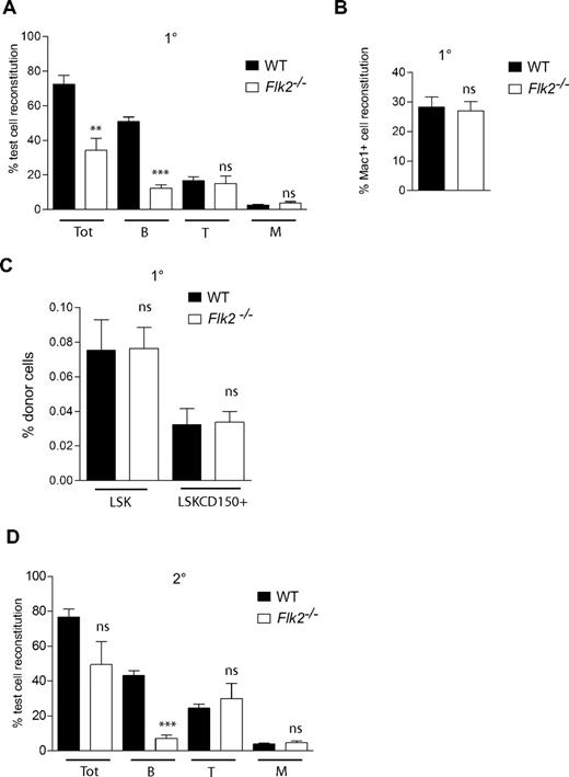 Figure 5. FLT3 receptor is dispensable for reconstitution and expansion of adult HSCs after BM transplantation. Lethally irradiated adult WT recipient (CD45.1) mice were transplanted with 106 unfractionated Flk2−/− (CD45.2) or WT (CD45.2) BM cells together with 106 unfractionated WT CD45.1 competitor BM cells. (A) Donor-derived PB total (Tot), B-cell, T-cell, and myeloid (M) reconstitution at 16 weeks after transplantation. Mean (SEM) values from 12 to 14 primary recipient mice of each genotype, from 2 independent experiments. At 16 weeks after transplantation recipient mice were killed, and BM cells were counted and analyzed for donor-derived myeloid (Mac-1+) reconstitution (B) as well as donor-derived regeneration of LSK and LSKCD150+ compartments (C). Mean (SEM) values for proportion of donor cells of 12 to 14 mice per genotype, from 2 independent experiments. (D) Test cell–derived PB total, B-, T-, and M-cell reconstitution 24 to 28 weeks after transplantation in secondary WT recipients. Data are expressed as mean (SEM) percentage of test cell reconstitution (9-10 recipient mice per genotype, from 2 independent experiments). ns indicates not significant; **P < .01, ***P < .001.