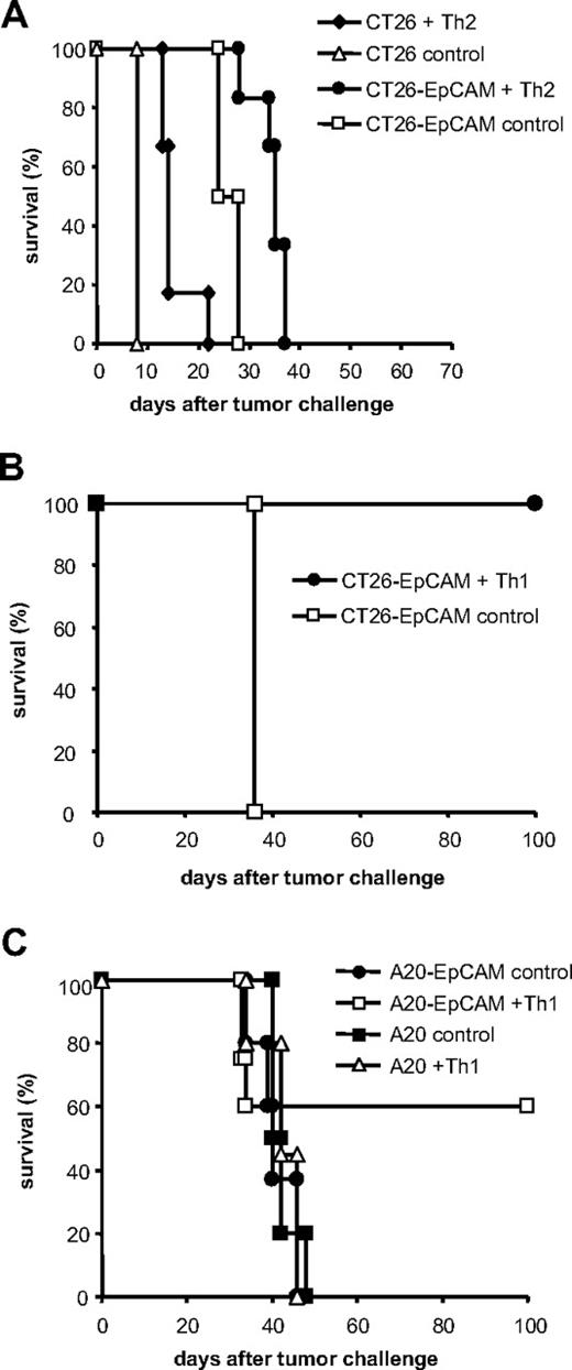 Figure 1. Inhibition of tumor growth depends on Th1 lymphocytes. (A) EpCAM-primed Th0/Th2 cells are unable to protect against CT26-EpCAM tumor cells. (B) EpCAM-primed Th1 cells protected against CT26-EpCAM tumor cells. (C) EpCAM-primed Th1 cells protected against CT26-EpCAM tumors and A20-EpCAM tumor cells but not against A20 wild-type lymphoma. T-cell cultures and in vivo experiments were performed as described as in “Methods.”