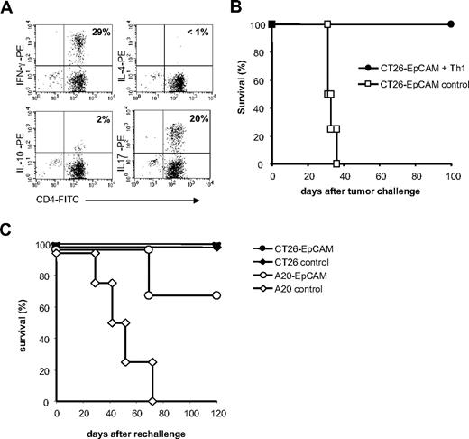 Figure 2. Th1 lymphocytes establish solid tumor immunity. (A) Flow cytometric analysis of generated T cells. Cultured cells were stimulated with PMA/ionomycin, stained with surface anti-CD4, and intracellularly with anti–IFN-γ, anti–IL-4, anti–IL-10, or anti–IL-17, respectively, showing the Th1/Th17 phenotype of EpCAM-primed T cells. Representative dot plots are shown. Numbers indicate the percentage of cells in the particular fluorescence window. (B) Short-term cultured Th1 cells protect against CT26-EpCAM tumors. (C) One hundred days after the original tumor challenge, surviving mice received CT26-EpCAM or A20-EpCAM tumor cells or the parental tumors. All mice were protected against a rechallenge with CT26-EpCAM carcinoma cells, and 70% of the mice were protected against A20-EpCAM lymphoma cells, whereas all mice died with the parental A20 lymphoma cells. Mice challenged with parental CT26 cells were largely protected. Experiments were performed as described in “Methods.”