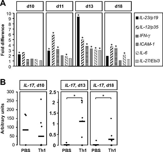 Figure 4. Gene expression analysis of tumors by PCR at different points in time. (A,B) In real-time PCR analysis, multiplex reactions were run in triplicates, and samples were normalized to the housekeeping gene HPRT. (A) Relative expression of genes of interest is represented as fold differences of the mean of Th1 cell–treated mice (d10, n = 10; d11, n = 10; d13, n = 10; d18, n = 9) over PBS controls (d10, n = 10; d11, n = 10; d13, n = 8; d18, n = 9), with highest levels on day 13 (*P < .05). (B) IL-17 expression in tumors of Th1 cell–treated mice (d10, n = 10; d13, n = 8; d18, n = 9) and control mice (d10, n = 10; d13, n = 7; d18, n = 12) on days 10, 13, and 18, showing an increase of IL-17 in tumors of Th1 cell–treated mice from day 13 on (*P < .05).