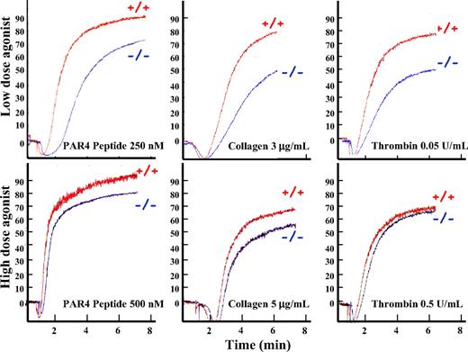 Figure 2. Pleckstrin-null platelets have a PKC-mediated aggregation defect. Washed murine platelets lacking pleckstrin were analyzed after agonist stimulation in a Lumi-Aggregometer. The y-axis shows the relative aggregation, and the x-axis shows time in minutes. Platelets lacking pleckstrin have nearly normal aggregation in response to high doses of a peptide agonist of PAR4 (the dominant murine thrombin receptor), collagen, and thrombin (bottom panels). In contrast, lower doses of these agonists show that pleckstrin-null platelets have a mild aggregation defect (top). Results are representative of 6 experiments.
