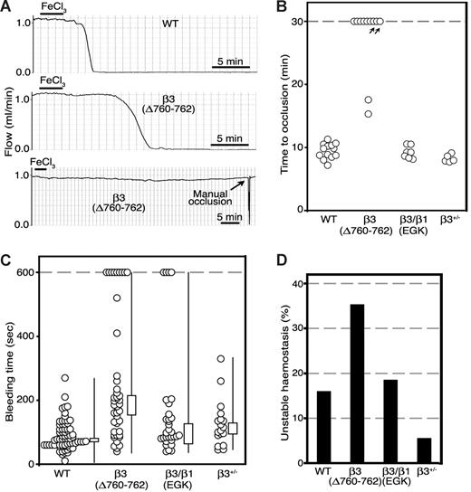 Figure 2. β3(Δ760-762) mice are resistant to carotid artery thrombosis. (A) Carotid artery blood flow profiles from 1 representative WT and 2 β3(Δ760-762) mice. Arteries were exposed to FeCl3 for 3 minutes beginning at t = 0, and blood flow was measured for at least 30 minutes. (B) Times to thrombotic occlusion for each mouse studied: WT, n = 13; β3(Δ760-762), n = 11; β3/β1(EGK), n = 7; β3+/−, n = 5. Two β3(Δ760-762) mice (arrows) showed either an approximately 90% reduction in initial flow rate, or restoration of flow within 6 minutes after complete occlusion. (C) Tail bleeding times for initial cessation of bleeding. Each circle indicates 1 animal: WT, n = 56; β3(Δ760-762), n = 46; β3/β1(EGK), n = 31; β3+/−, n = 18. Box graphs indicate median plus or minus SEM, and the total distribution for each genotype. (D) Frequency of rebleeding from tail wounds: WT, n = 56; β3(Δ760-762), n = 34; β3/β1(EGK), n = 27; β3+/−, n = 18.