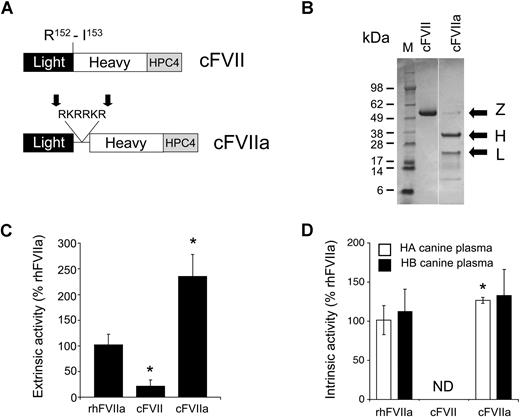 Figure 1. Construction and in vitro characterization of canine FVII and canine FVIIa. (A) The canine FVII and FVIIa constructs contained a C-terminal epitope tag (HPC4) for immunoaffinity purification. To generate canine FVIIa, we introduced a short amino acid sequence (RKRRKR) at the normal site of cleavage of canine FVII (Arg152-Ile153, indicated), which is recognized by an intracellular protease of the PACE/furin type. Cleavage at this sequence (indicated by ) results in the secretion of a 2-chain, activated molecule. (B) Polyacrylamide gel electrophoresis of zymogen (Z) cFVII and cFVIIa under reducing conditions. The molecular size marker (M) bands in kDa are indicated as well as the heavy (∼35 kDa, H) and light (∼20 kDa, L) chains. (C) TF-dependent activity of cFVII and cFVIIa in a PT-based clotting assay using canine FVII-deficient plasma relative to rhFVIIa (100%). *P < .05 versus rhFVIIa. (D) TF-independent activity of cFVII and cFVIIa in an aPTT-based clotting assay using either canine hemophilia A (HA) or B (HB) plasma, relative to rhFVIIa (100%). ND indicates nondetectable activity.