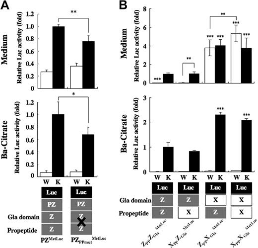 Figure 6. Secretion of PP/Gla domain of PZ and/or FX fused to MetLuc. (A) PZPPmut was fused with MetLuc, and its expression vector (PZPPmutMetLuc) was transfected to HEK 293 cells with a pGL3-control. Twenty-four hours after incubation with warfarin (W, □) or Vit.K (K, ■), MetLuc activity in the medium (top panel) and barium citrate-adsorbate (bottom panel) were assayed. Values of means (± SD) for 3 transfections were calculated relative to the activity of PZMetLuc treated with Vit.K (arbitrarily set at 1-fold; *P = .01; **P < .001). (B) Combinations of PP and Gla domains of PZ (gray boxes) and FX (white boxes) were fused to amino-terminal–truncated MetLuc (black boxes), as illustrated at the bottom. Fifteen micrograms of expression vector for each construct were transfected to HEK 293 cells together with the pGL3-control, and the cells were incubated with warfarin (W, □) or Vit.K (K, ■) for 24 hours. MetLuc activity in the medium (top panel) and barium citrate adsorbate (bottom panel) was measured and normalized to the activity of firefly luciferase in the cell lysates. Values of means (± SD) for 3 transfections were calculated relative to the activity of ZPPZGlaMetLuc treated with Vit.K (arbitrarily set at 1-fold; **P < .005; ***P < .001).