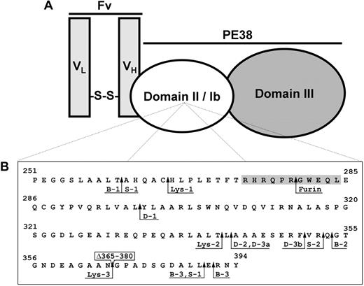 Figure 1. PE-based immunotoxins. (A) The 2-chain disulfide-linked Fv of an antibody targeting a tumor-associated antigen is combined with the PE38 fragment of native PE to create an immunotoxin. (B) PE38 domains II and Ib. The sequences of domain II (residues 251-364) and domain Ib (residues 365-394) from PE38 are shown. Residue numbering is based on the amino acid sequence of native PE. Residues 365 to 380 from native PE (boxed) were deleted in the generation of PE38. Lysosomal protease cleavage sites, determined by N-terminal sequencing of fragments from B3(dsFv)-PE38 digests, are indicated by arrows adjacent to the designation of their corresponding band from SDS-PAGE analysis (Figure 2). Lysosomal protease cleavage sites occur between residues 260-261, 265-266, 297-298, 341-342, 342-343, 351-352, 352-353, 353-354, 364-381, 390-391, and 391-392. The furin cleavage site (279-280) is also indicated. The 11-residue furin-sensitive sequence in domain II from HA22-LR is shaded.