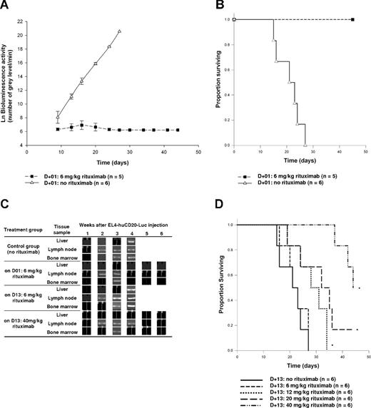Figure 1. Therapeutic effect of rituximab after EL4-huCD20-Luc lymphoma cell inoculation. Mice were inoculated with 8 × 103 EL4-huCD20-Luc intravenously and then administered 6 mg/kg rituximab (■) or PBS (△) the day after (D1) or administered different doses (6, 12, 20, or 40 mg/kg) of rituximab on preestablished lymphoma tumor on day 13 (D13). Tumor growth and mice survival were evaluated by BLI on D9, D13, and then twice a week until the death of the mice. (A) Compared with control group, in vivo lymphoma growth was completely abrogated by administration of 6 mg/kg rituximab on D1 (significantly different P < .001). (B) Mice administered rituximab on D1 showed a significantly increased survival compared with the control group (P < .05). (C) PCR analysis on liver, lymph nodes, and bone marrow showed a disappearance of EL4-huCD20-Luc as early as 4 weeks after the infusion of rituximab on D1. (D) Mouse survival was significantly increased after infusion of 12, 20, or 40 mg/kg of rituximab on D13. *Significant difference, P < .05; 6 mg/kg rituximab did not modify mouse survival; P > .05.