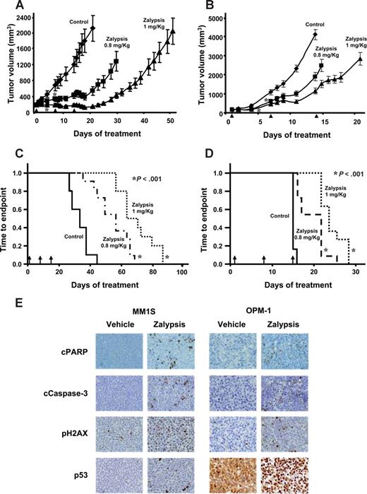 Figure 6. In vivo antimyeloma effect of Zalypsis. (A) CB17-SCID mice subcutaneously inoculated with 3 × 106 MM1S or OPM1 cells in the right flank were assigned to the different treatment groups receiving Zalypsis at a dose of 0.8 mg/kg and 1 mg/kg intravenously once weekly for 3 doses (↑ indicates days of treatment) or to the control group receiving the vehicle alone. Tumor diameters were measured every other day, and tumor volume was estimated as the volume of an ellipse. (A,B) The evolution of the volume of MM1S and OPM-1 plasmacytomas for the indicated days. Statistical differences in each time point were analyzed for each dose compared with the vehicle control group with one-way analysis of variance and Bonferroni post hoc tests, and statistical significance was defined as P < .05. *First day in which differences were statistically significant for each dose. Bars represent SE. (C,D) For survival evaluation, mice were killed when their tumor diameters reached 2 cm or when they became moribund. Time to endpoint was defined as the time from the day of initiation of treatment to death as a result of toxicity, tumor growth, or any other cause. Statistical differences were analyzed in a Kaplan-Meier curve. *Significance was compared with the vehicle control group, defined as P < .05 in the log rank test. (E) Immunohistochemical analyses were performed with different apoptosis-related markers in selected control and treated tumors after the death of mice bearing MM1S and OPM-1 plasmacytomas. Panels (original magnification ×100) show that Zalypsis treatment induced PARP and caspase-3 expression (first 2 rows), an increase of H2AX phosphorylation (third row), and nuclear accumulation of p53 in tumors derived from both cell lines (fourth row), although basal p53 expression was higher in OPM-1 tumors.
