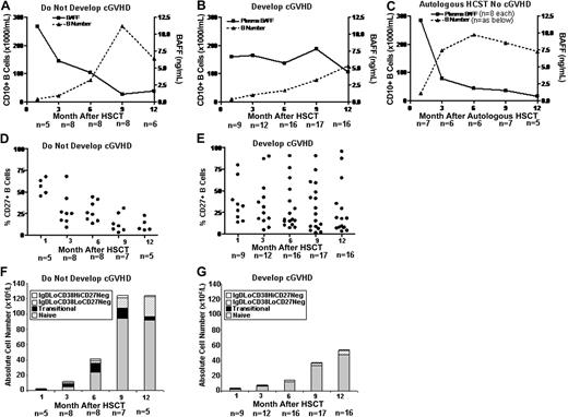 Figure 5. Delayed reconstitution of B cells and increased proportion of CD27+ B cells in patients who develop cGVHD. CD19+ B-cell number (left y-axis) and BAFF levels (right y-axis) were measured every 3 months after HSCT in 3 patient groups. (A) Eight patients who did not develop cGVHD by 12 months. (B) Seventeen patients who developed cGVHD during this period. (C) Eight patients who underwent autologous transplantation after myeloablative conditioning. Numbers of patients measured at each time point are shown. The percentage of CD27+ B cells was measured every 3 months after HSCT. (D) Patients who did not develop cGVHD by 12 months are compared with (E) patients who developed cGVHD during this period. Absolute numbers of CD27− B-cell subsets were also identified in these patients. (F) Results in patients who do not develop cGVHD between 3 and 12 months after HSCT are compared with (G) patients who developed cGVHD during this period.