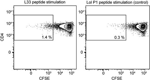 Figure 1. Identification and isolation of CD4+ T cells that proliferated specifically in response to the L33 peptide. PBMCs drawn from an HPA-1a–alloimmunized woman were stimulated in vitro with L33 peptide for weeks in tissue culture, then labeled with CFSE dye, and stimulated again with L33 peptide or Lol P1 control peptide in parallel cultures. After 13 days, the cultures were assayed for proliferation by flow cytometry. A sort gate was set to define an area for optimal enrichment of HPA-1a–specific proliferating CD4+ T cells by FACS. CD3+CD4+ lymphocytes that underwent enhanced proliferation in response to L33 peptide (1.4%; left) represented a considerably enriched population compared with the control culture (0.3%; right). The displays are biexponential (see “Cell culture and generation of HPA-1a–specific T-cell lines”).