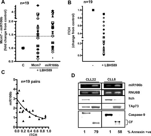 Figure 2. Up-regulation of miR106b levels in response to deacetylase inhibitors in primary leukemia cells. (A) Quantitation of Mcm7 and miR106b and in 20 primary leukemia cells exposed to LBH589. (B) Quantitation of Itch in the primary leukemia samples evaluated in panel A. (C) Pearson correlation demonstrating the inverse relation between miR106b and ITCH in paired samples (P < .005, 2-tailed P value, Pearson correlation r = −0.7). (D) Levels of miR106b, RNU6B (loading control for small RNA) as analyzed by qRT-PCR, are compared with the protein levels of Itch, p73, caspase-9 (CF indicates cleaved fragment), and annexin positivity in representative CLL samples.