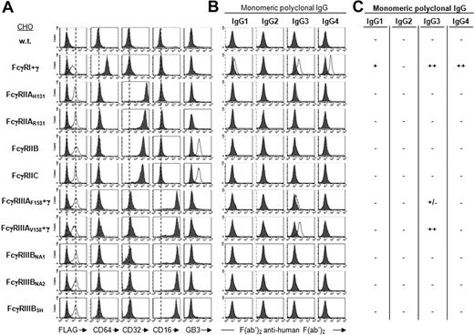 Figure 1. Binding specificity of hFcγRs for monomeric IgG. (A) Histograms show the binding of anti-FLAG mAb (thin line) or its isotype control (solid gray), and the binding of anti-FcγRI (CD64), anti-FcγRII (CD32), anti-FcγRIII (CD16), and anti-FcγRIIB/C (GB3) to FLAG-tagged hFcγRs on CHO transfectants. (B) Histograms show the binding of polyclonal human IgG subclasses to hFcγR-expressing transfectants using 10 μg/mL ultracentrifugated IgG and 15 μg/mL PE-F(ab′)2 anti–human F(ab′)2. Solid gray histograms represent the binding of PE-F(ab′)2 anti–human F(ab′)2 alone; 3 independent experiments gave identical results. (C) Summary of monomeric IgG binding ability.