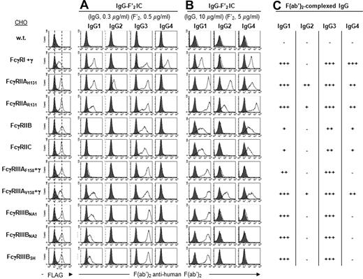 Figure 2. Binding specificity of hFcγRs for IgG IC. Histograms show the binding of anti-FLAG mAb (thin line) or its isotype control (solid gray), and (A,B) the binding of IgG subclasses in complex with PE-F(ab′)2 anti–human F(ab′)2 to FLAG-tagged hFcγRs on CHO transfectants. Concentrations of human IgG and PE-F(ab′)2 anti–human F(ab′)2 are indicated. Solid gray histograms represent the binding of PE-F(ab′)2 anti–human F(ab′)2 alone; 4 independent experiments gave similar results. (C) Summary of IgG-F′2 IC binding abilities to hFcγRs using data from panels A and B.