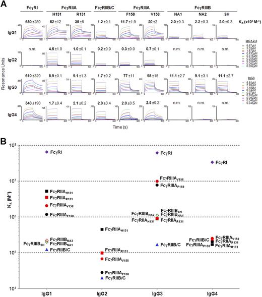 Figure 3. Binding affinity of hFcγRs for IgG subclasses. (A) Real-time surface plasmon resonance sensorgrams and affinity constants (×105 M−1) were determined from SPR analysis. The standard deviation of the affinity constant (KA) determination is indicated. n.m. indicates not measurable (ie, no detectable binding). (B) The affinity constants calculated in panel A are plotted against IgG subclasses. Data correspond to 1 experiment per interaction tested, which is representative of 2 to 6 independent experiments that gave similar results.